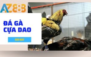 Huong Dan Cach Choi Da Ga Cua Dao Tai AZ888 Chi Tiet Cho Nguoi Moi 1 1 1 1